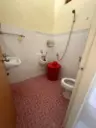 1000020368.webp