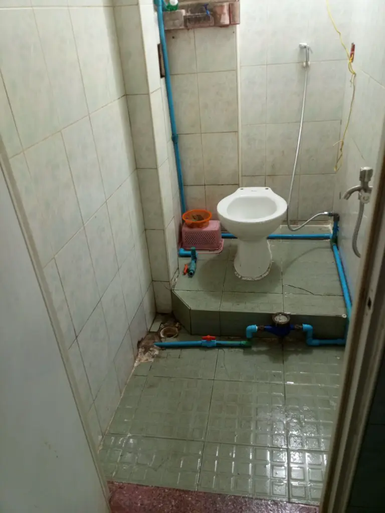 1000020358.webp